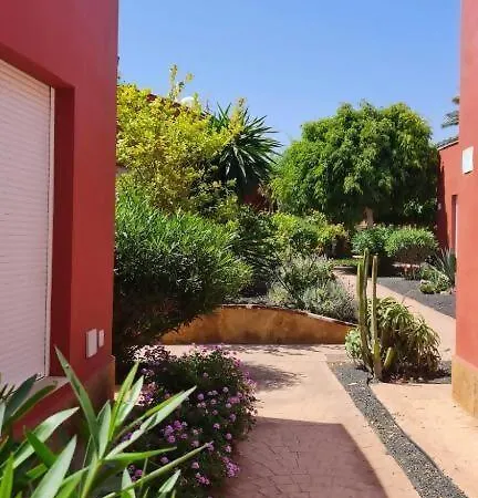 Casa Girasoles Roof Terrace, Patio, Air-con קורלחו